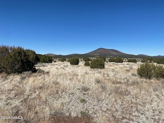 7775 Tulip Trail, Williams, AZ 86046