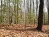 Lot 25 Laurel Mountain Dr, Brasstown, NC 28902