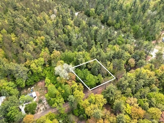 TBD W Lilly Lake Rd, Manistique, MI 49854