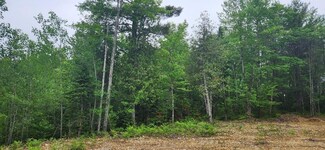 map2lot10 Pinkham Rd, Alton, ME 04468