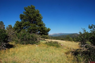 114 U S 84, Pagosa Springs, CO 81147