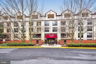 1040 Deer Ridge Dr Unit 308, Baltimore, MD 21210