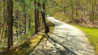 5 Wolfsbane Trail Unit 5, Todd, NC 28684