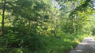 0 Walters Run, Ripley, WV 25271