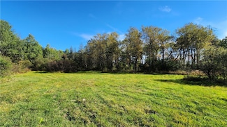 0 Wagner Rd Unit R1646333, Dansville, NY 14437