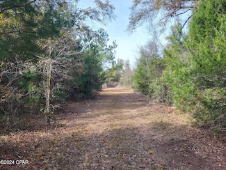 00 Tommy Tucker Rd Unit Lot 4, Altha, FL 32421