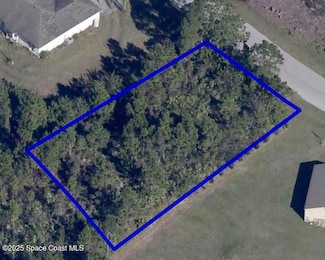 1160 Townsene Rd SE, Palm Bay, FL 32909