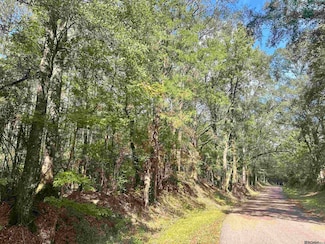 tbd Beechgrove Rd, Clinton, LA 70722