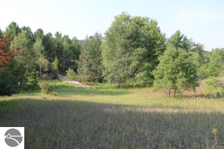 2731 E Popa Rd, Cedar, MI 49621