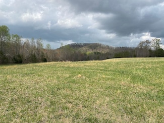 0 Cane Creek Mountain Rd Lot Unit WP001, Bostic, NC 28018