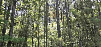 0 Highway 43 Unit 1332369, Carthage, MS 39051