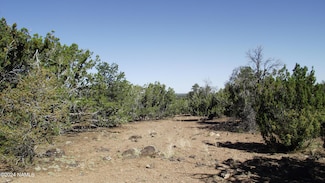 837 E Jackpine Ln Unit 47, Williams, AZ 86046