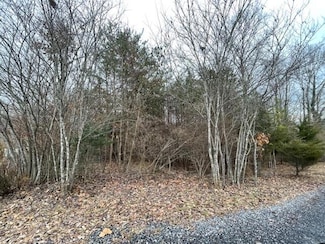 Lot 49 Overlook Cir, Moneta, VA 24121
