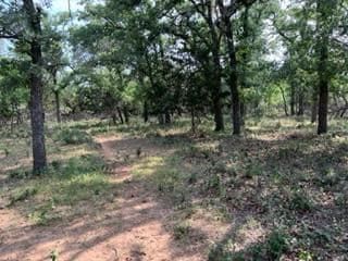 000 Jerald Rd, Fredericksburg, TX 78624