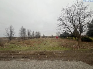380 N Canal Blvd, Basin City, WA 99343