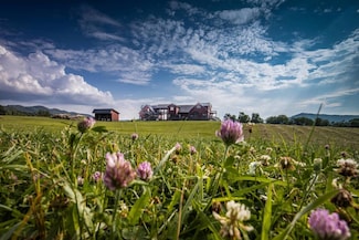 1212 Skaggs Rd, Wolfcreek, WV 24993