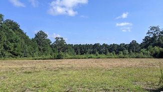 314 H Coleman Ln, Tabor City, NC 28463