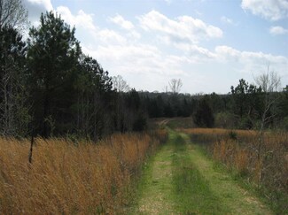 407 Winding Ridge Rd, Adamsville, TN 38310
