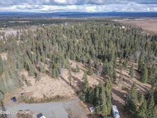 Lot 15 Kivalina Cir, Ninilchik, AK 99639