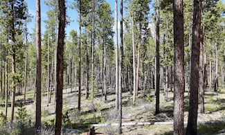 TBD Harris Rd, Anaconda, MT 59711