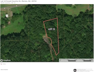 Lot 13 Song Sparrow Dr Unit 13, Marion, NC 28752