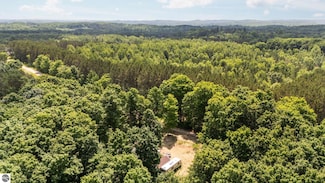 5777 E 18 Rd, Manton, MI 49663