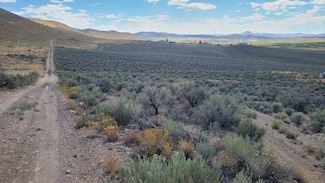 2540 Raven Rd, Spring Creek, NV 89815