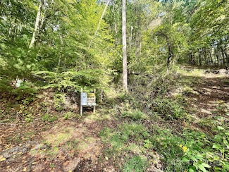 11 & 17 Tara Dr, Asheville, NC 28806