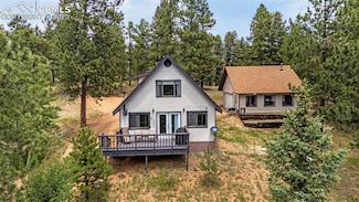 53 Lake Cir, Divide, CO 80814