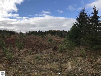 6498 S Turnerville Rd, Mc Bain, MI 49657