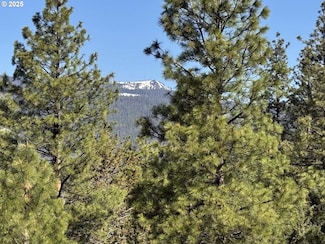 0 County Highway 1-22 Unit TL 1300 432689034, Lakeview, OR 97630