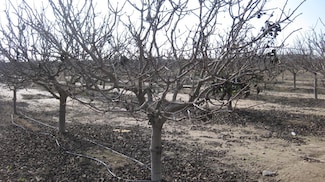 9999 Avenue 384, Dinuba, CA 93618