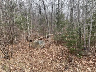R13 L21A.2 Mooseley Ridge Rd, Phillips, ME 04966