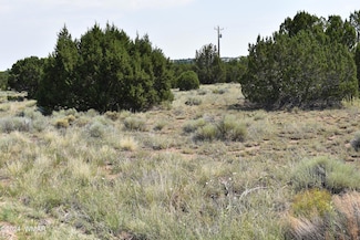 30 Dawn Ln, Concho, AZ 85924