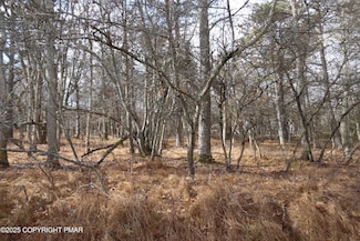 D1922 S Old Stage Rd, Penn Forest Township, PA 18210