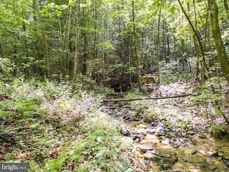 821 Pine Branch Rd, Glen Daniel, WV 25844