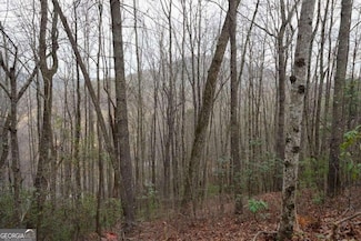 0 Round Top Dr Unit 21043518, Clayton, GA 30525