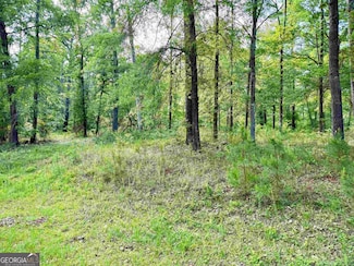 0 Possum Point Dr Unit 10529786, Eatonton, GA 31024