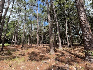 600 Fort Charlotte Ave, Dauphin Island, AL 36528