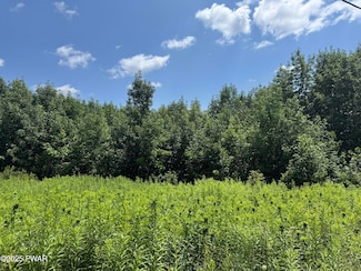 0 Daw Rd Unit PWBPW253072, Pleasant Mount, PA 18453