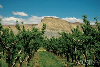 Lot 7 Orchard Mesa Reserves, Palisade, CO 81526