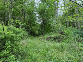 0 Azalea Rd SW, Leesville, OH 44639