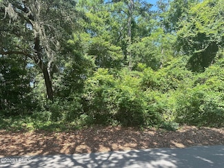454 Bb Sams Dr, Dataw Island, SC 29920