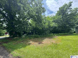 2600 Bank St, Sellers, SC 29592