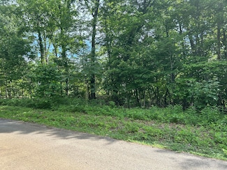 Lot # 8 Clint Williams Rd, Rutledge, TN 37861