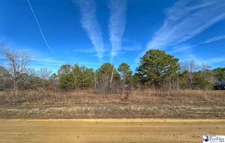 Lot 13 Copeland Moody Rd, Latta, SC 29565