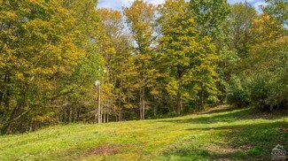 205 New Forge Road I, Taghkanic, NY 12502