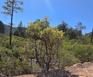 Parcel 2 Arizona 87, Pine, AZ 85544