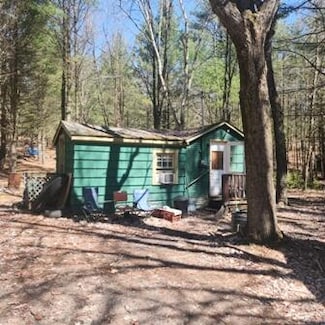 8312 W Burdock Ave, Baldwin, MI 49304