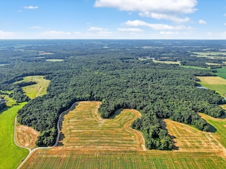 116.18 + - Acres Highway Dd, Truxton, MO 63381